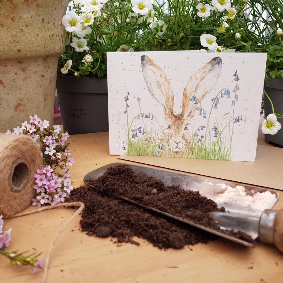 Curious Hare Plantable Card